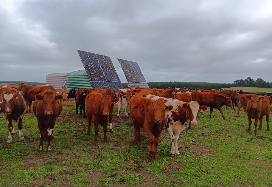 Solar Water Pumps Australia